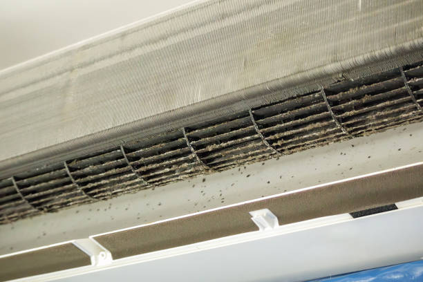 Best Air Duct Cleaning Company Near Me  in Sherwood Manor, CT
